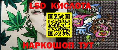 тгк Гусев