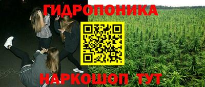 тгк Гусев