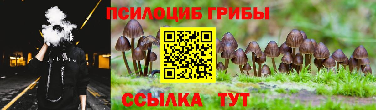 наркотики  Псилоцибиновые грибы ЛСД  Майкоп  Вход с VPN  Галлюциногенные грибы Cubensis 