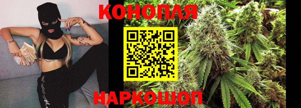 Конопля MAZAR Майкоп